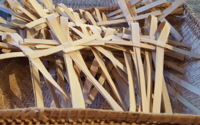 Sunday March 24-Palm Sunday   Service Order, Zoom and Announcements